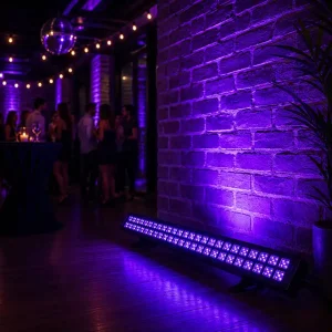 Éclairage salle Bar LED lumière noire